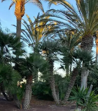 Fuerte M&m * Costa Calma