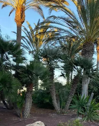 Fuerte M&m * كوستا كالما