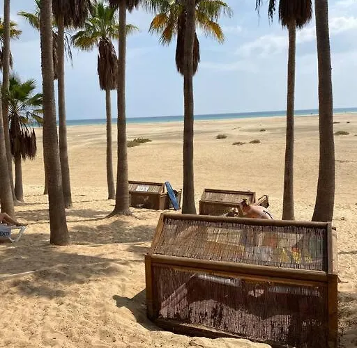 Fuerte M&m * 科斯塔卡玛